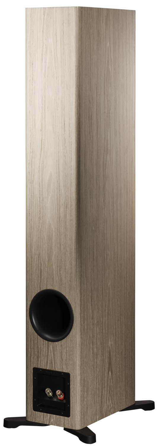 Dynaudio Evoke 50 blonde wood