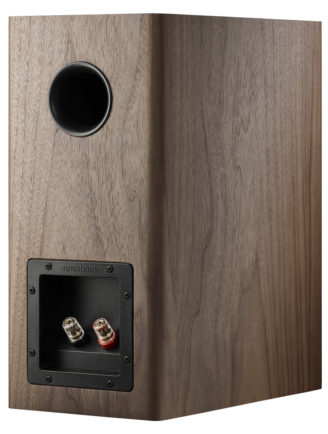 Dynaudio Evoke 20 walnut wood