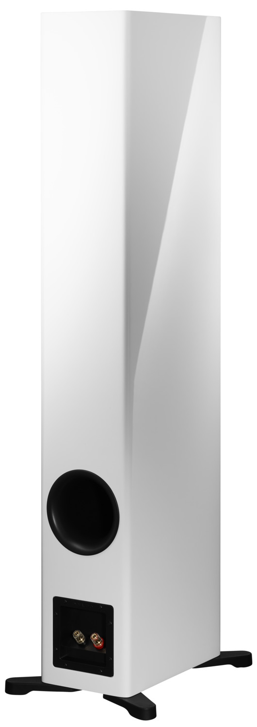 Dynaudio Evoke 50 white high gloss