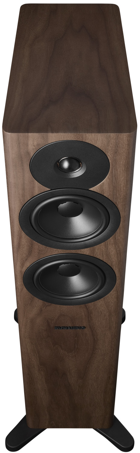 Dynaudio Evoke 30 walnut wood