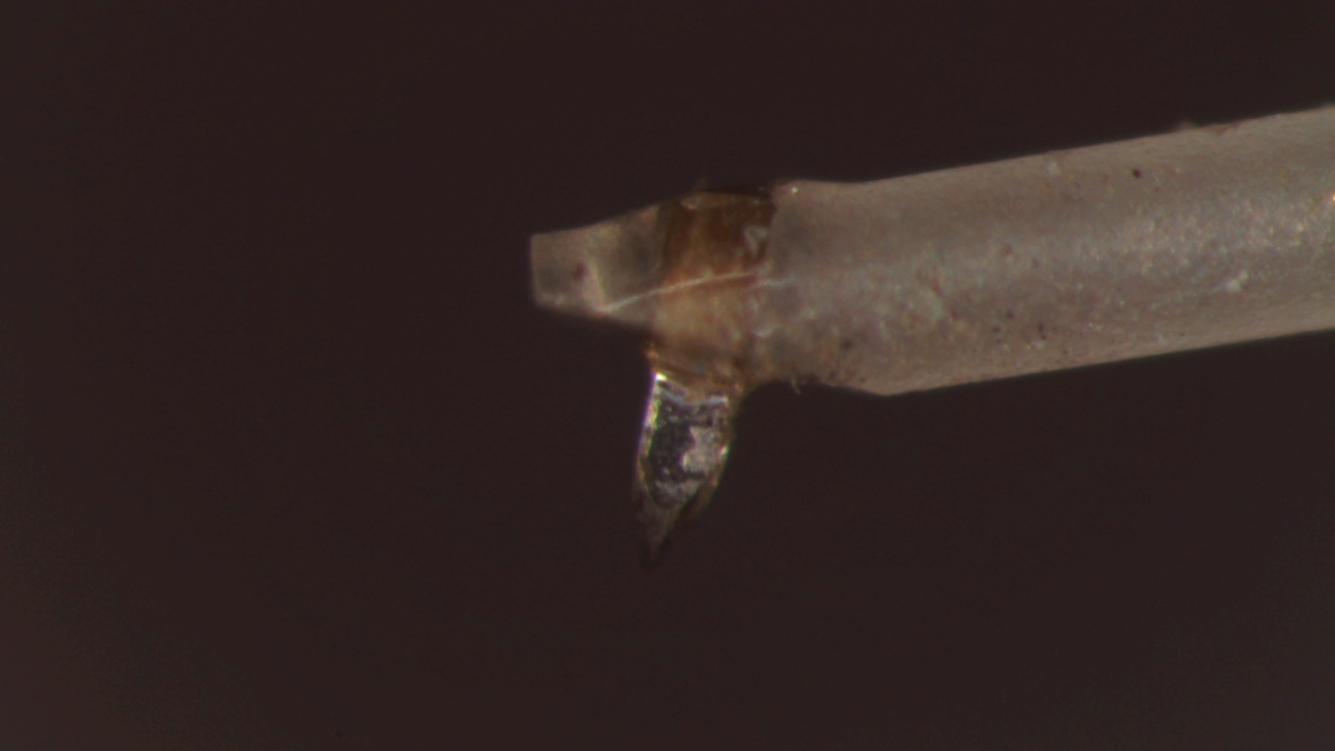 DS Audio ST-50 Stylus Cleaner