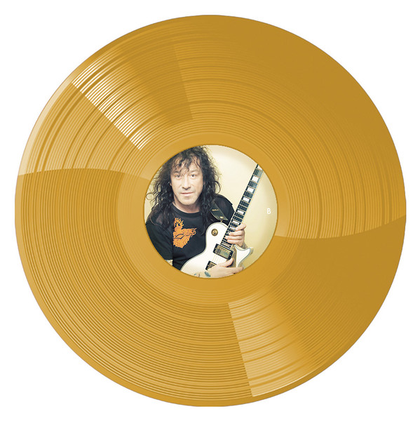 Владимир Кузьмин - Небесное Притяжение [Gold Vinyl] (4680068804619)