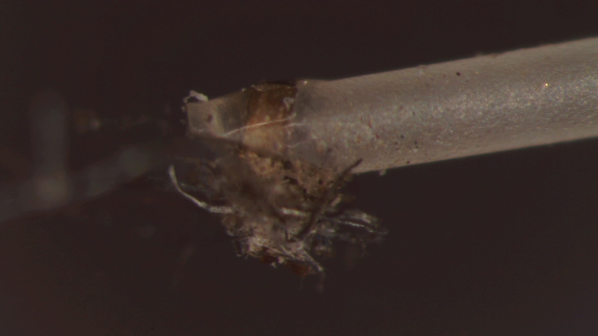 DS Audio ST-50 Stylus Cleaner